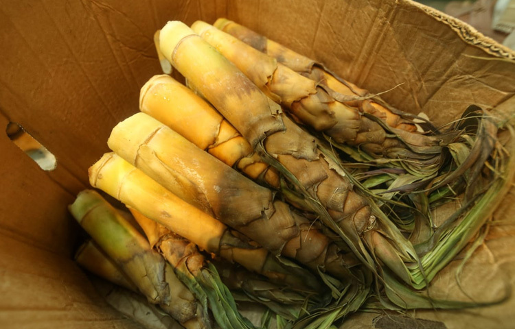 বিন্নি চাল, নানা জাতের পাহাড়ি মরিচ, শুকনো বাঁশ কোরল, সিজনাল মশলা আর নানা ধরনের শুঁটকি মশলাও নজর কেড়েছে খাদ্যপ্রেমীদের।