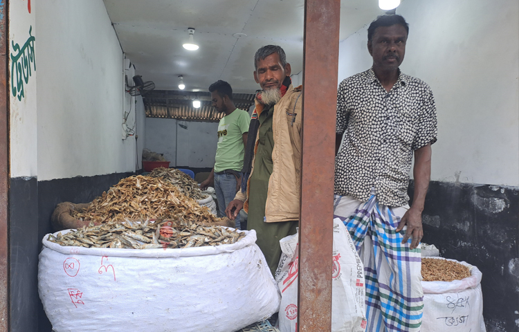 এই হাটে আসতো মুন্সিগঞ্জের আলু, পাবনার পেঁয়াজ-রসুন, সিরাজগঞ্জের গুড়, শাড়ি, কাপড় ও লুঙ্গি এবং রংপুর ও দিনাজপুরের তামাক পাতা। হাট থেকে ময়মনসিংহ, নরসিংদী, নারায়ণগঞ্জে যেতো পাট, ধান, মরিচ, বেগুন, সরিষা ও নানা রবিশস্য। ছবি: নাসিম উদ্দিন