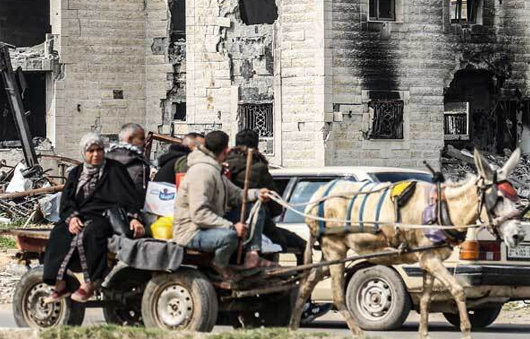 অবরুদ্ধ গাজা উপত্যাকার দক্ষিণাংশ থেকে হঠাৎ সেনা সরিয়ে নেওয়ার ঘোষণা দিয়েছে ইসরায়েল। এরপরেই খান ইউনিসে ফিরতে শুরু করেছেন ফিলিস্তিনিরা। ছবি: এএফপি