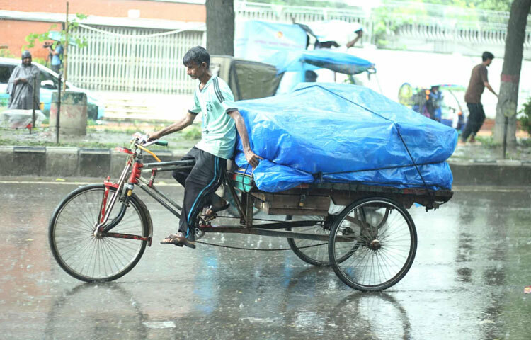 রোদ আর বৃষ্টির মিলনে যেন ঢাকার রাস্তাগুলো মুহূর্তের মধ্যে অন্য রূপে ভেসে উঠছে। রোদে ঝলমল করা লতা-পাতার মাঝে বৃষ্টির ফোঁটা পড়ার সঙ্গে সঙ্গে সৃষ্টি হচ্ছে এক অনিন্দ্যসুন্দর দৃশ্য, যা শহরের ব্যস্ত জীবনে অল্পক্ষণ শান্তির ছোঁয়া হিসেবে ধরা দিচ্ছে।