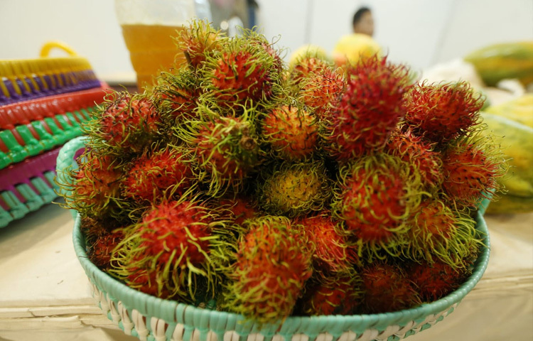 শহরের কোলাহলে একটু ভিন্ন স্বাদ নিতে চাইলে ঘুরে আসা যেতে পারে এই পাহাড়ি উৎসবে। এটা শুধু মেলা নয়, যেন পাহাড়ের প্রাণ-সংস্কৃতির এক উজ্জ্বল প্রকাশ।