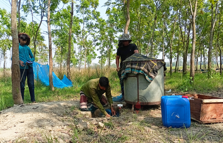 তবে অন্যসব জেলা থেকে আসা মৌচাষিদের মিলে মোট ৯ হাজার ৫৮০টি মৌবাক্স রয়েছে। ছবি: বিধান মজুমদার