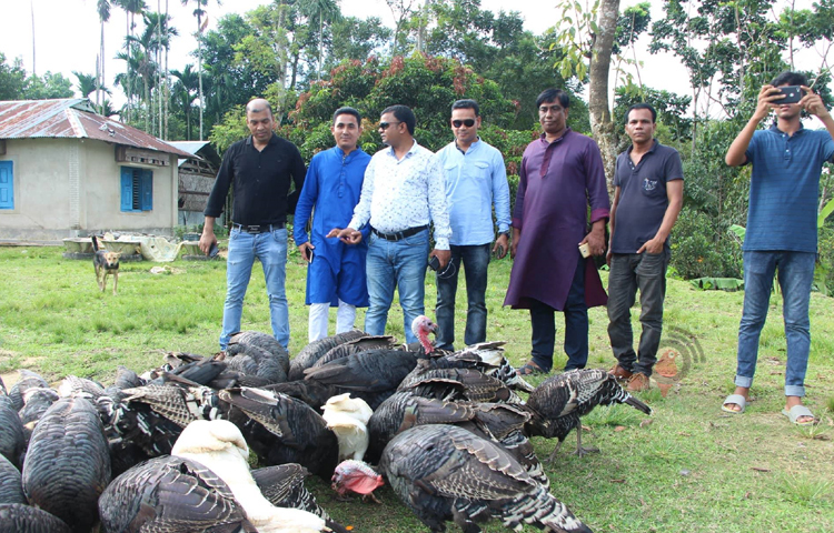 পাহাড়ি জনপদে নান্দনিক সৌন্দর্যে ঘেরা এই বাড়ির নির্মানের পাশাপাশি শখের বসে পালন করছেন টার্কি মুরগিও। যা ভ্রমণপিপাসু মানুষদের মনকে আকৃষ্ট করে তোলে।  ছবি: এম মাঈন উদ্দিন