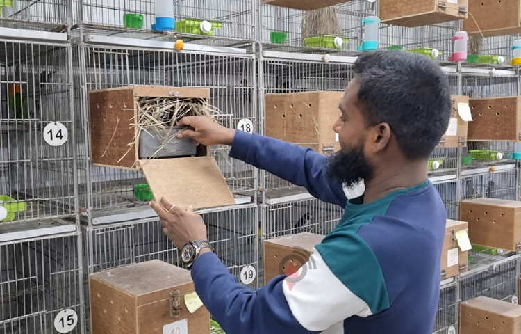 নড়িয়া উপজেলার ভোজেশ্বর ইউনিয়নের নরকলিকাতা এলাকার সুলতান আহম্মেহ খান ও আমেনা খাতুন দম্পতির ছেলে আরিফুজ্জামান খান। তার বয়স যখন ৬ মাস তখন পলিও রোগে বাম পা ক্ষতিগ্রস্ত হয়। পরিবারের সাহায্য নিয়েই হাঁটতে হতো তাকে। স্কুলে যাতায়াতে সুবিধার জন্য ছোট বোনের সঙ্গে একই ক্লাসে ভর্তি হতে হয় তাকে। ছবি: বিধান মজুমদার অনি