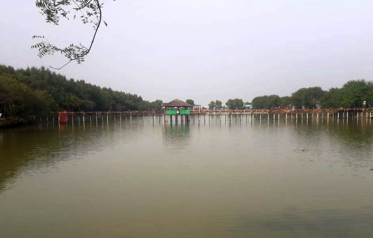 সাতক্ষীরার দেবহাটা উপজেলার শীবনগর এলাকায় বাংলাদেশ-ভারত সীমান্তে ইছামতির ভাঙ্গন রক্ষায় নদীর চরে উপজেলা প্রশাসনের উদ্যোগে গড়ে তোলা ম্যানগ্রোভ বন এখন বিনোদনকেন্দ্রে পরিণত হয়েছে। বিনোদনকেন্দ্রকে ঘিরে কর্মসংস্থান সৃষ্টি হয়েছে স্থানীয়দের। ছবি: আহসানুর রহমান রাজীব