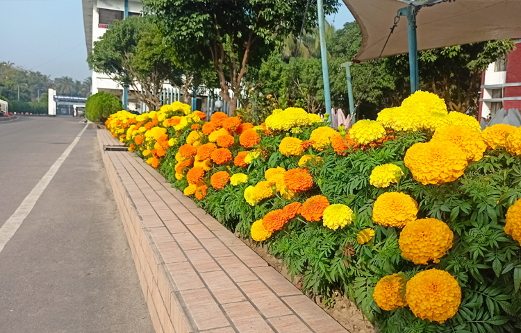 জেলা পুলিশ সুপার মাহবুবুল আলম বলেন, শরীয়তপুর পুলিশ লাইন অত্যন্ত সুসজ্জিত, যা বাংলাদেশের অন্যতম সেরা একটি পুলিশ লাইন। আমরা এর ম্যানেজমেন্টের দিকে সব সময় অনেক বেশি গুরুত্ব দেই। ছবি: বিধান মজুমদার অনি