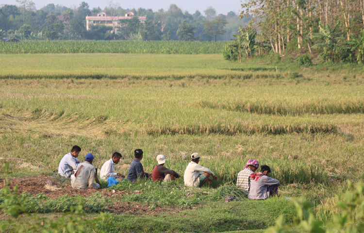 ক্ষেতের কাছে রোদে বসেই একটু বিশ্রাম নেওয়ার চেষ্টা ক্লান্ত চাষিদের। ছবি: আরমান খান