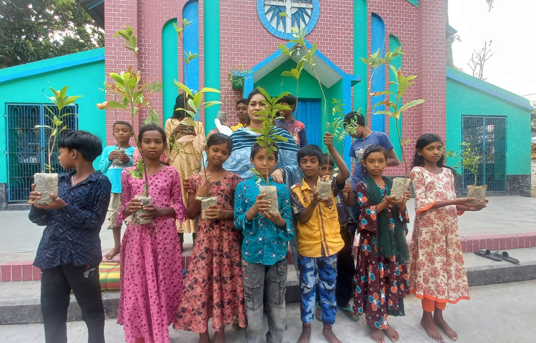 রাজশাহীর বোয়ালিয়া এলাকায় এই গাছগুলো বিতরণ করা হয়। ছবি: জাগো নিউজ