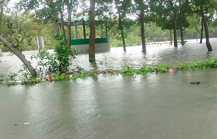 ঘূর্ণিঝড় রিমালের কারণে সম্ভাব্য ক্ষয়ক্ষতি এড়াতে পুরো সুন্দরবন বিভাগের কর্মকর্তা ও বনরক্ষকদের ছুটি বাতিল করা হয়েছে। ছবি: আবু হোসাইন সুমন