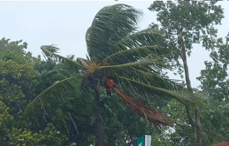 এদিকে টানা বৃষ্টিপাতে শহরের বিভিন্ন স্থানে জলাবদ্ধতা দেখা দিয়েছে। বিশেষ করে নিচু এলাকায় বৃষ্টির পানি জমে দুর্ভোগে পড়েছে সাধারণ মানুষ। ছবি: শরীফুল ইসলাম