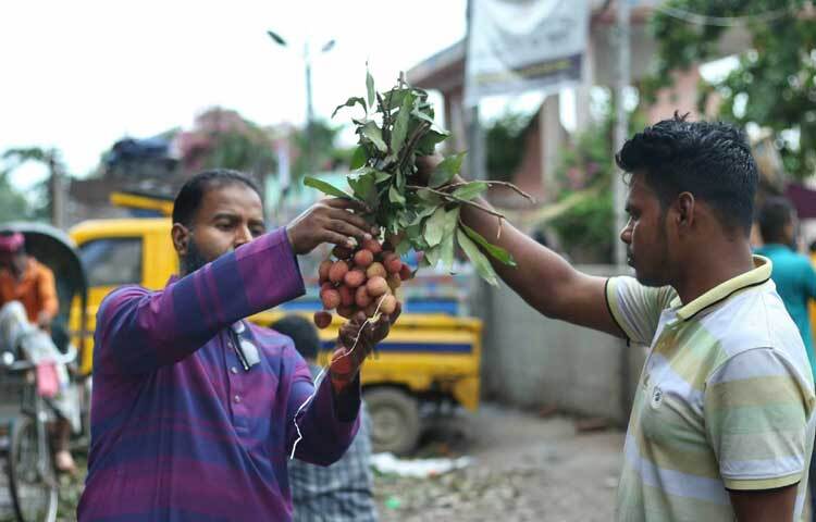 লিচু মান বেঁধে ২০০-৩০০ টাকা ‘শ’ বিক্রি হচ্ছে। ছবি: মাহবুব আলম