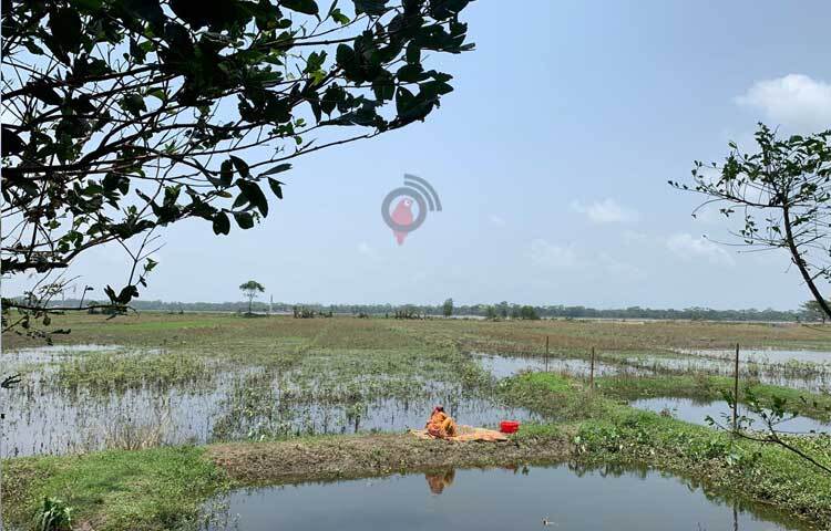 লোনা পানিতে ডুবে গেছে শত শত গ্রাম। বাঁধ ও ঘরবাড়ির ব্যাপক ক্ষতি হয়েছে। ভেসে গেছে হাজারো মাছের ঘের। ছবি: আরিফুর রহমান