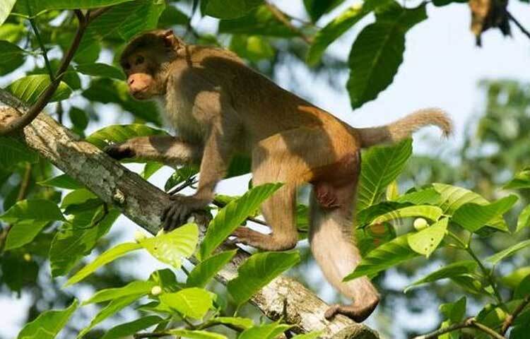 এরপর থেকে প্রতি বছরই দিবসটি সারাবিশ্বের বিভিন্ন শহরে, আলাদা আলাদা প্রতিপাদ্য বিষয় নিয়ে পালিত হয়। ছবি: জাগো নিউজ