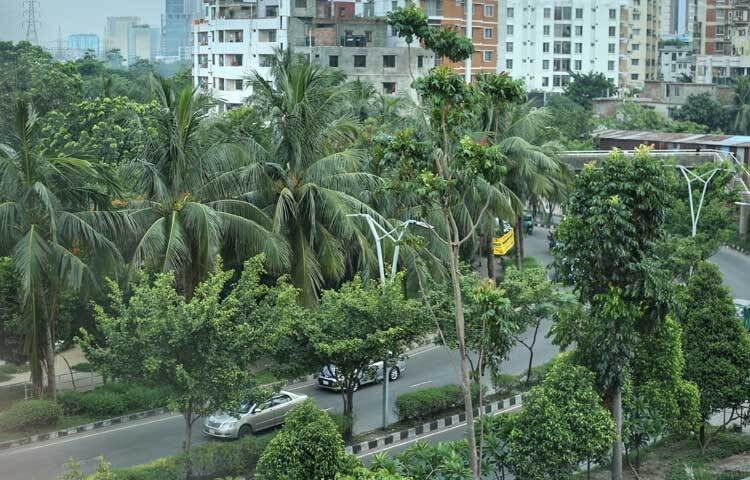 রাজধানীর উচ্চ তাপমাত্রা নিয়ন্ত্রণ, বায়ুদূষণ রোধসহ পরিবেশ রক্ষায় ‘নগর বন’ তৈরির পরিকল্পনা করছে ঢাকা উত্তর সিটি করপোরেশন (ডিএনসিসি)। হিট অফিসার বুশরা আফরিনের পরামর্শে নগর বনায়নের জন্য এরই মধ্যে দুটি স্থানও নির্ধারণ করা হয়েছে। অপেক্ষা শুধু পৃষ্ঠপোষকের। অর্থসহায়তা পেলে আনুষ্ঠানিকভাবে শুরু হবে কাজ। ছবি: জাগো নিউজ