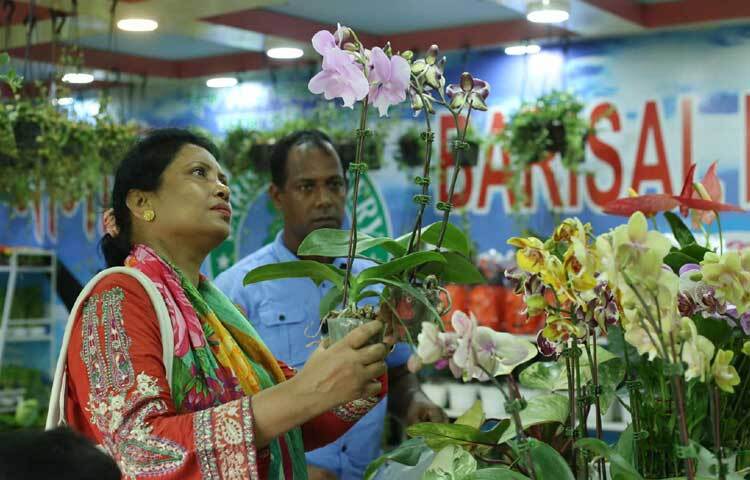 মেলায় আশা দর্শনার্থীরা খোঁজে নিচ্ছেন পছন্দের গাছটি। ছবি: মাহবুব আলম