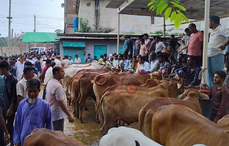 ছুটির দিন হওয়ায় আজ বেচা-কেনা বাড়তে বলে আশা করছেন বিক্রেতারা। ছবি: এম মাঈন উদ্দিন