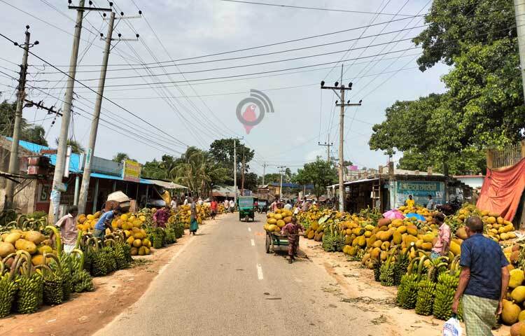 মাটিরাঙ্গা ও গুইমারা বাজারে ঢাকা-চট্টগ্রাম-খাগড়াছড়ি আঞ্চলিক মহাসড়কের দুই পাশের বিশাল অংশজুড়ে বসেছে কাঁঠালের হাট। ছবি: মুজিবুর রহমান ভুইয়া