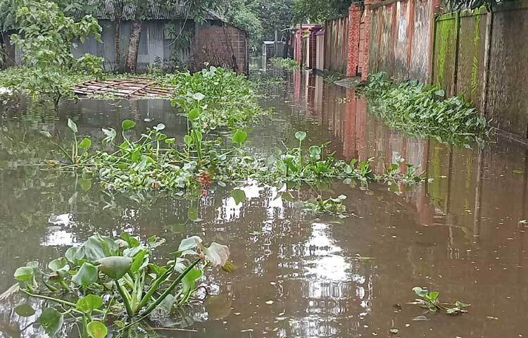 বন্যার তাণ্ডবে সবচেয়ে বেশি ক্ষতিগ্রস্ত হয়েছে দোয়ারাবাজার, ছাতক ও সুনামগঞ্জ সদর। ছবি: লিপসন আহমেদ