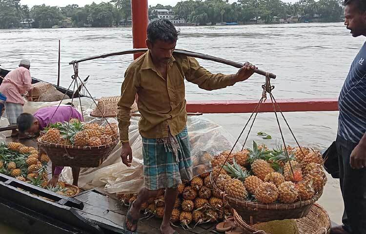 ফলন ভালো হওয়ায় হাসি ফুটেছে চাষিদের মুখে। এমনকি আনারসের বাম্পার ফলনে চাষিদের ভাগ্য বদলের পাশাপাশি বদলে যাচ্ছে পাহাড়ি এলাকার প্রান্তিক পর্যায়ের অর্থনীতি। ছবি: লিপসন আহমেদ