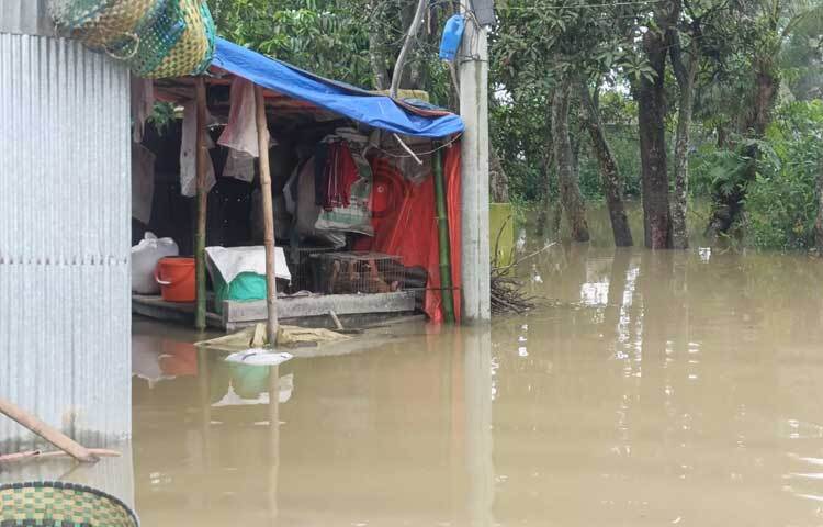 পানিবন্দি হয়ে দুর্বিষহ জীবন কাটাচ্ছে সহস্রাধিক পরিবার। কাজ না থাকায় কষ্টে রয়েছেন দিনমজুরসহ খেটে খাওয়া মানুষ। ছবি: এম মাঈন উদ্দিন