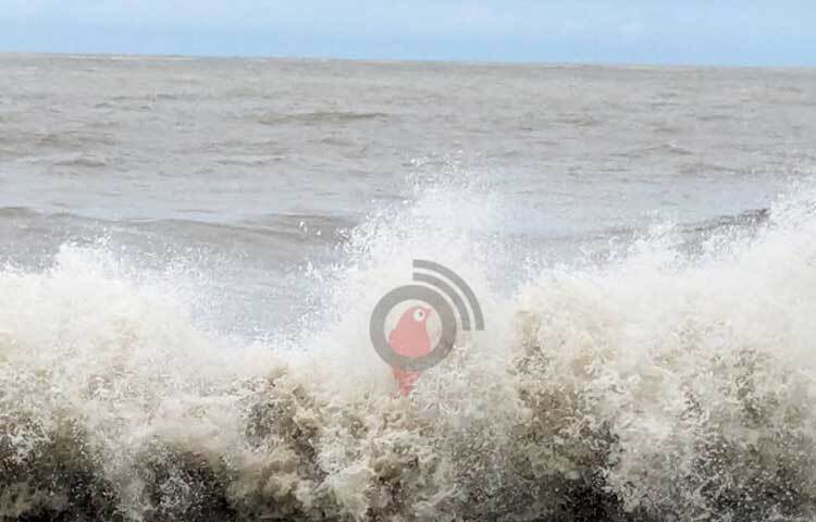 দেশের ছয়টি অঞ্চলে ঝড়ো হাওয়াসহ বৃষ্টি বা বজ্রসহ বৃষ্টি হতে পারে। চট্টগ্রাম, কক্সবাজার, মোংলা ও পায়রা সমুদ্রবন্দরকে তিন নম্বর স্থানীয় সতর্ক সংকেত দেখিয়ে যেতে বলেছে আবহাওয়া অধিদপ্তর। ছবি: জাগো নিউজ