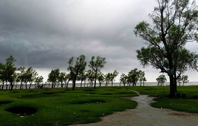 সমুদ্রের অনেকটা গভীর পর্যন্ত চলে গেছে কেওড়া বন। এটি দেখতে অনেকটা পরিবেশ সোয়াম্প ফরেস্ট ও ম্যানগ্রোভ বনের মতো। ছবি: এম মাঈন উদ্দিন