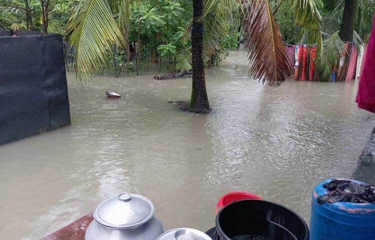 জানা গেছে, সুবর্ণচর, সেনবাগ, সোনাইমুড়ী, চাটখিল, বেগমগঞ্জ, কবিরহাট, কোম্পানীগঞ্জ, সুবর্ণচর ও সদর উপজেলার বেশিরভাগ নিচু এলাকা প্লাবিত হয়েছে। ছবি: ইকবাল হোসেন মজনু