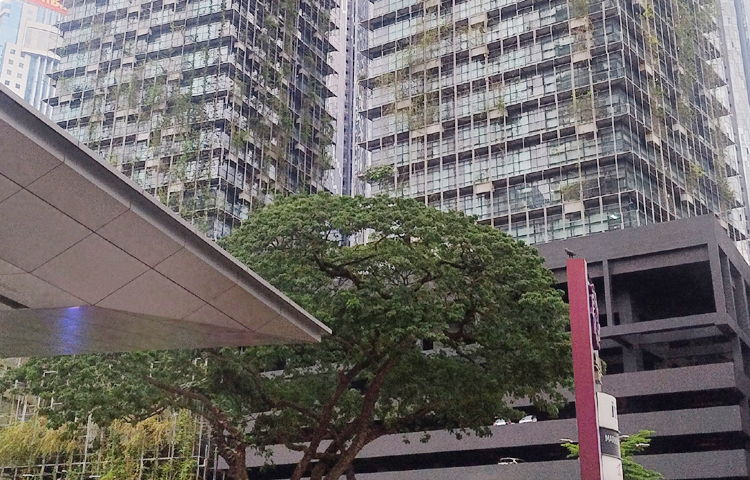 কুয়ালালামপুর ভ্রমণের জন্য একটি সুন্দর জায়গা। যেখানকার প্রতিটি বহুতল ভবনের পরতে পরতে সৌন্দর্য চোখে পড়বে। এ শহরে রন্ধনশিল্পীদের কাজের সুযোগ অনেক বেশি। সাংস্কৃতিক বৈচিত্র্য কুয়ালালামপুরের প্রধান আকর্ষণের একটি বড় অংশ। ছবি: এম মাঈন উদ্দিন