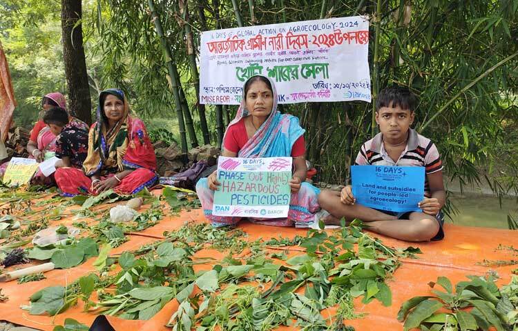 প্রান্তিক মানুষের পুষ্টির আধার হিসেবে বিবেচিত অচাষকৃত উদ্ভিদ বৈচিত্র্য সংরক্ষণ ও সম্প্রসারণে সাতক্ষীরার শ্যামনগরে অনুষ্ঠিত হয়েছে ব্যতিক্রমধর্মী ‘খোটা শাকের মেলা’। ছবি: আহসানুর রহমান