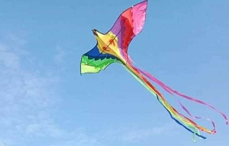 বরগুনার নলটোনা সৈকতটি সমুদ্রের নীল জলরাশি ও বালির জন্য পরিচিত। পিকনিক ও অবসর যাপনের জন্য এটি অত্যন্ত উপযোগী।