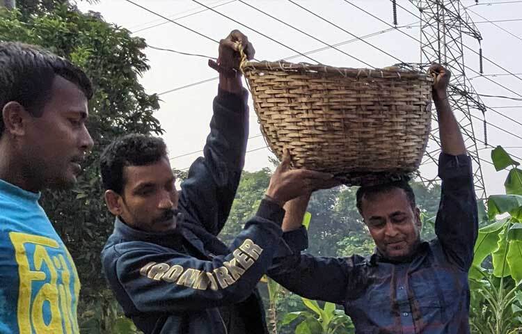 শীত শুরুর আগেই ব্যস্ততা বেড়ে যায় খৈয়াছড়ার কৃষকদের। বাজারে এই এলাকার ক্ষিরার চাহিদাও খুব বেশি। খেতে হালকা মিষ্টি। অত্যন্ত সুস্বাদু।