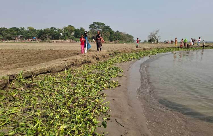 অভিযোগ উঠেছে বালু উত্তোলনের জন্য মেঘনায় ইজারা নেওয়া নিদিষ্ট জায়গা থাকলেও সে জায়গা ছেড়ে রাত হলেই ড্রেজার গুলো তীরে চলে আসে।