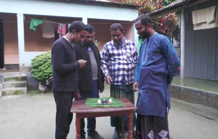 কালো ডিমের কথা জানাজানি হলে অনেকেই এটি দেখতে মাসুম মিয়ার বাড়িতে ভিড় করছেন।