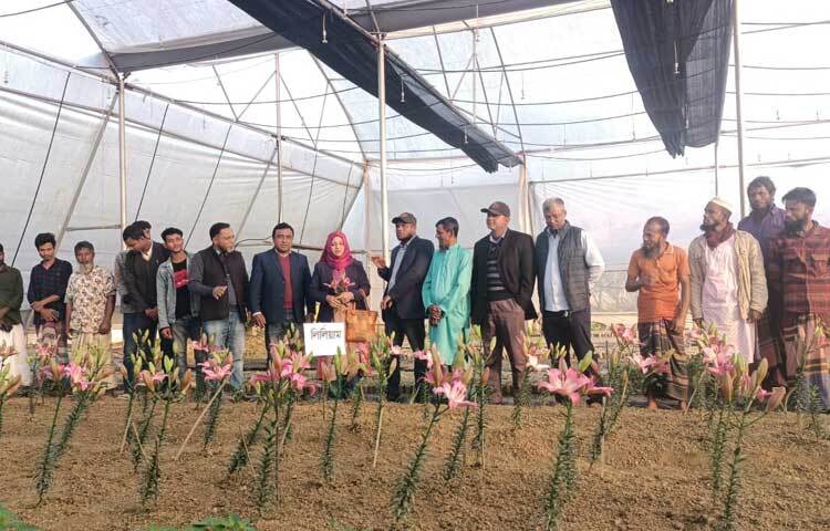 তিনি আরও বলেন, ‘মহর আলী একজন সফল উদ্যোক্তা। তিনি পরীক্ষামূলকভাবে লিলিয়াম ফুল চাষ করে সফলতা পেয়েছেন। মহর আলীর মতো মুক্তাগাছার আরও কোনো কৃষক যদি এ ফুল চাষে আগ্রহী হন, তাহলে আমরা সার্বিক সহযোগিতা দেওয়ার চেষ্টা করবো।’