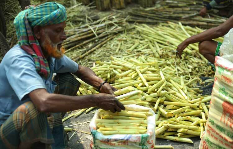 গরমে তৃষ্ণা মেটাতে পথচারীদের ভরসা আখের জুস।