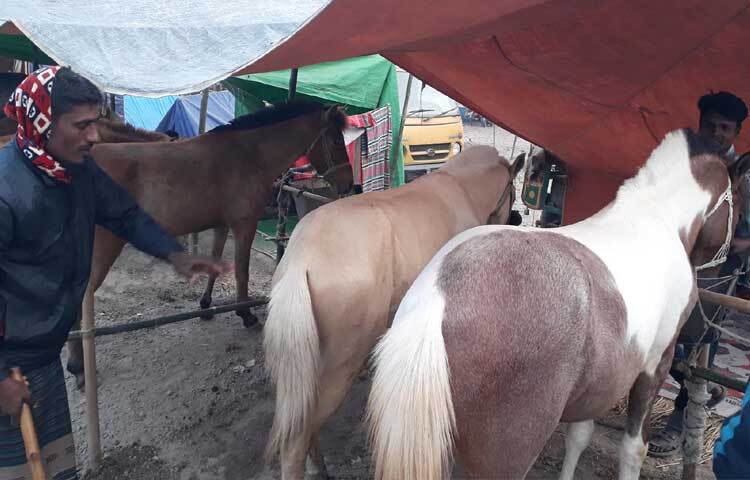 প্রায় আড়াই কিলোমিটার এলাকাজুড়ে এ মেলা ঘিরে প্রায় ২০ গ্রামে থাকে উৎসবের আমেজ।