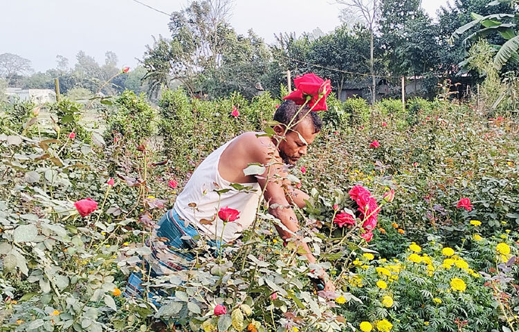 তিনি নার্সারি থেকে ফুল সংগ্রহ করে নিজের দুটি দোকানে পাইকারি ও খুচরা বিক্রি করেন।