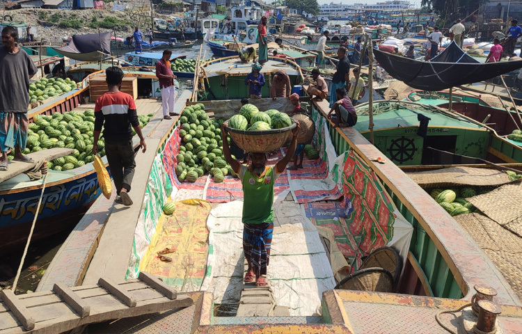 ফলে রমজানের শুরু থেকেই বাজারে পর্যাপ্ত সরবরাহ রয়েছে পরিপক্ব তরমুজের।