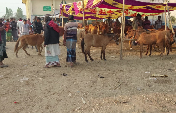 জানা যায়, প্রায় সোয়া পাঁচশ বছর আগে এক সাধক নন্দিনী প্রিয়া গোপিনাথপুর থেকে প্রায় এক কিলোমিটার উত্তরে গভীর জঙ্গলে একটি মন্দির স্থাপন করেন। সেখানে পূজা-অর্চনার আয়োজনের মধ্য দিয়েই মূলত এই মেলার সূচনা হয়।