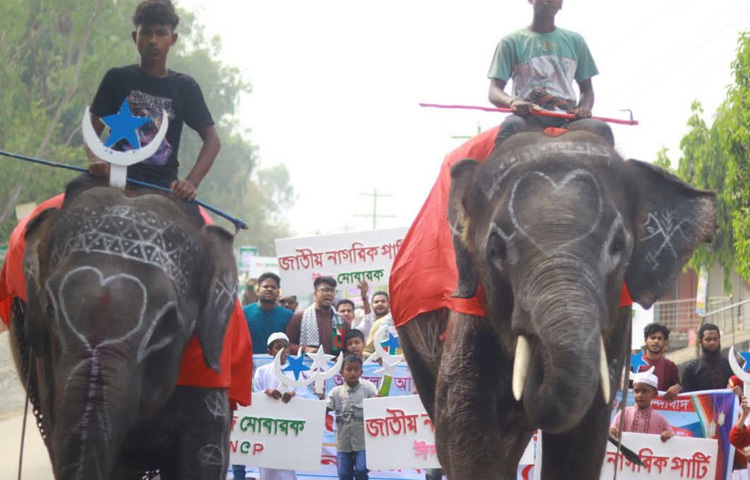মিছিলে ঈদের জামাত শেষ হতেই হাতি ও ঘোড়ার গাড়ি নিয়ে বেজে ওঠে ব্যান্ডপার্টির বাজনা।