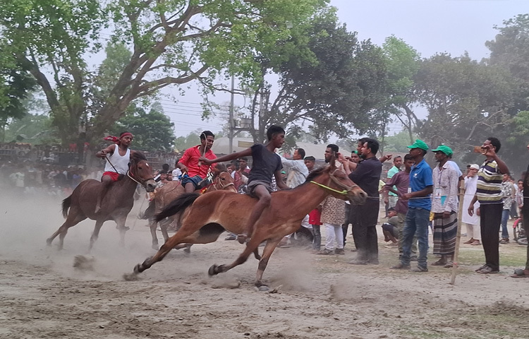 জানা যায়, ৮৩ বছর ধরে ঈদুল ফিতরের প্রথম দিনে দ্যাইনা ঘোড়দৌড় কমিটি এ আয়োজন করে আসছে। প্রতিযোগিতা দেখতে দূর-দূরান্ত থেকে ছুটে আসেন নানা বয়সী মানুষ। অনেকে বাড়ির ছাদে বসে প্রতিযোগিতা উপভোগ করেন।