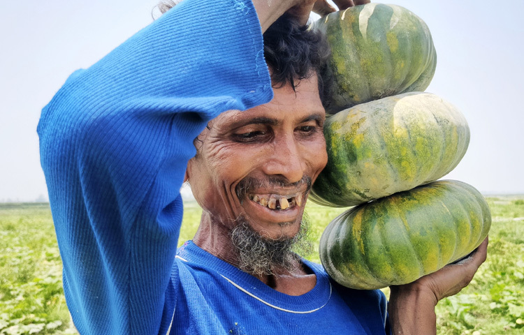 সদর উপজেলার কালমাটির চরের বাসিন্দা রজমান মুন্সি এলাকার কৃষক নাদিরুল ইসলাম বলেন, ৪ বিঘা জমি থেকে ১২ হাজার ৫০০ কেজি কুমড়া পেয়েছি। এ বছর দাম কম হওয়ায় অর্ধেক কুমড়া বিক্রি করেছি। অর্ধেক কুমড়া বাড়িতে সংরক্ষণ করেছি। আবহাওয়া অনুকূলে থাকায় আশানুরূপ ফলন হয়েছে।