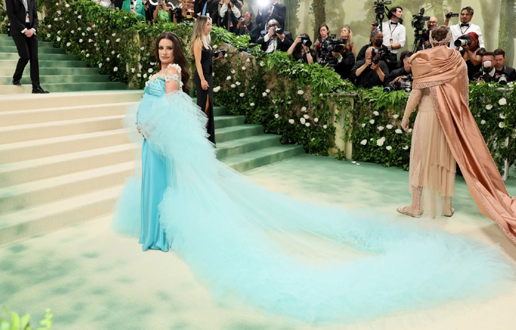 প্রতিবছরই অসাধারণ সব থিমভিত্তিক সাজপোশাকে উপস্থিত হন নামী তারকা ও ফ্যাশন আইকনরা।