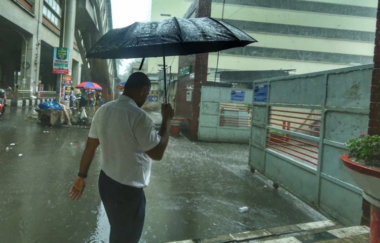 সবার ছাতা যেমন আলাদা, গল্পও তেমন আলাদা। কিন্তু অনুভূতিটা এক বাঁচার চেষ্টা।