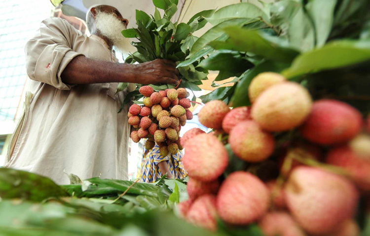 লিচুপ্রেমীদের জন্যও সুখবর আছে। বাজারে উঠেছে মৌসুমি লিচু। ১০০টা লিচু বিক্রি হচ্ছে ৩৫০ টাকা পর্যন্ত।