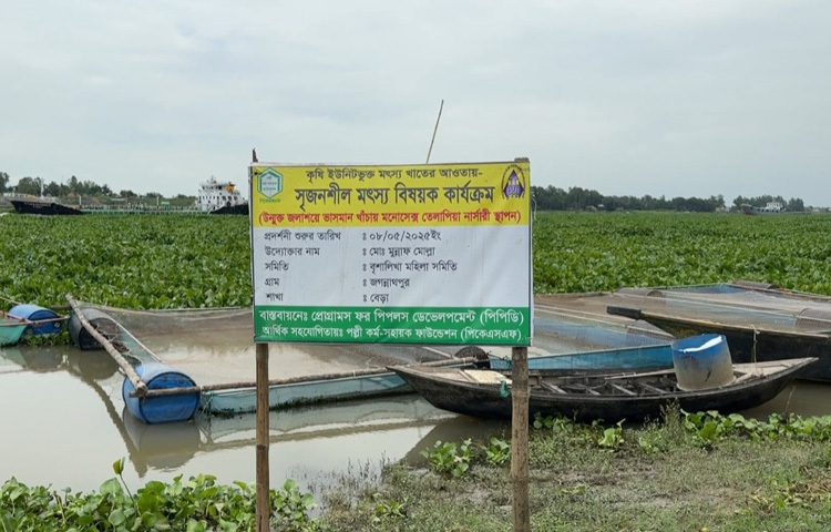 স্রোতের সঙ্গে তাল মিলিয়ে বদলে যাচ্ছে অন্তত ২০টি পরিবারের অর্থনৈতিক বাস্তবতা। মাছ চাষ শুধু আয়ের পথই খুলে দেয়নি, গড়ে তুলেছে স্বনির্ভরতার ভিত্তিও।
