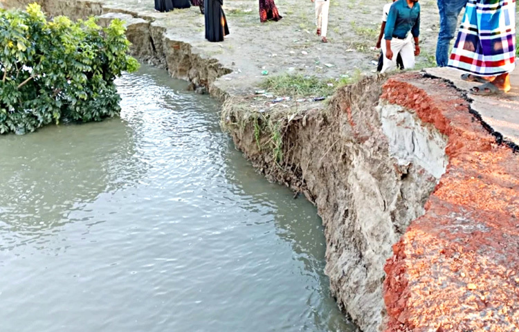 পদ্মা নদীর ভাঙনে অনেকেই বসতভিটা হারাতে বসেছেন।