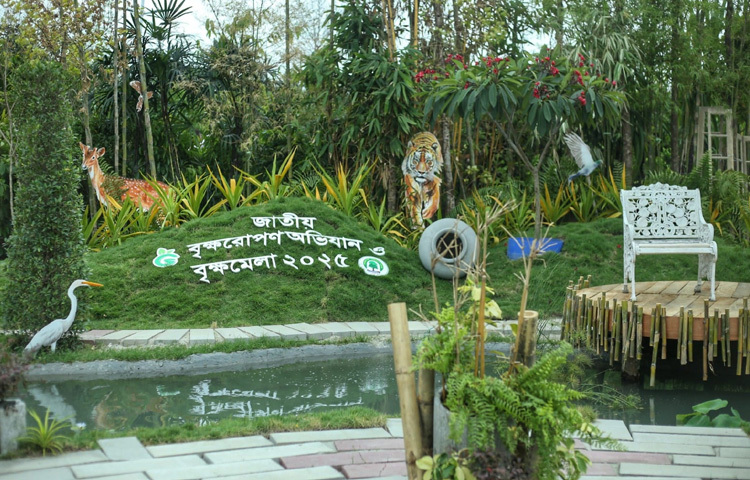 ২৫ জুন থেকে শুরু হওয়া জাতীয় বৃক্ষমেলাটি এবার হচ্ছে শেরেবাংলা নগরের আগারগাঁও এলাকায় অবস্থিত পুরনো বাণিজ্যমেলার মাঠে। মেলা চলবে আগামী ২৫ জুলাই পর্যন্ত।