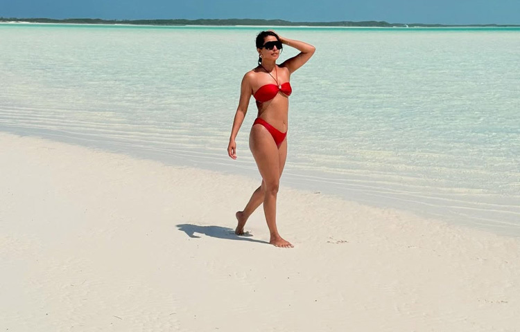 সাগরপাড়ে উষ্ণ আলোর নিচে লাল রঙে মোহময়ী প্রিয়াঙ্কা। এই লুকে ছিল পার্ল এমবেলিশড হাইলাইটস, যা নজর কাড়ার মতো।