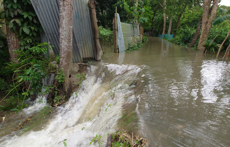 জোয়ারের এই পানি বৃদ্ধিতে চাঁদপুর সদর ও হাইমচর উপজেলার উপকূলীয় এলাকাগুলোতে সড়ক, পুকুর ও বসতবাড়িতে পানি ঢুকে পড়েছে। শহরের পুরান বাজার এলাকার রনাগোয়াল ঘাট, হরিণা ফেরিঘাট, বাখরপুরসহ বিভিন্ন নিচু এলাকায় এখন রাস্তাজুড়ে পানি দেখা যাচ্ছে।